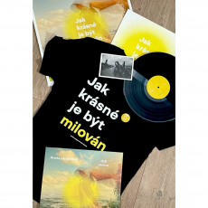 vinyl_3.png